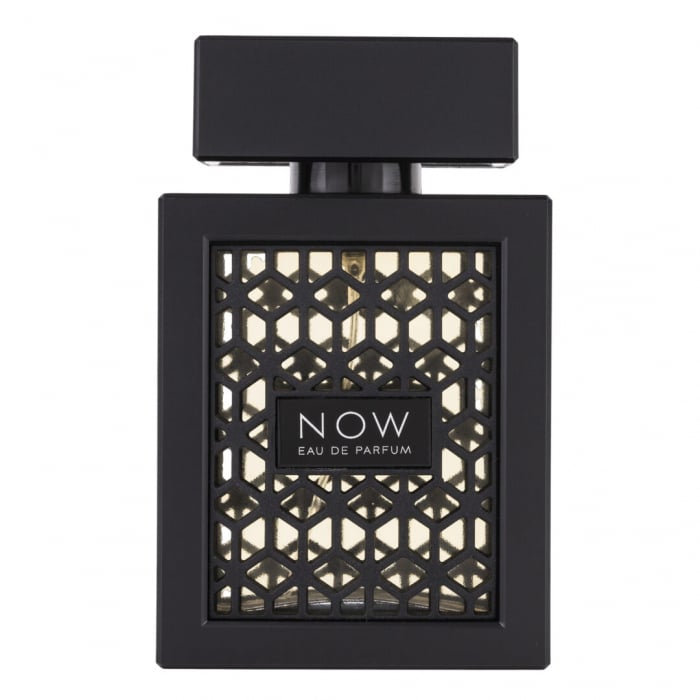 Parfum Rave Now Men, apa de parfum, barbati inspiratie Aventus Creed